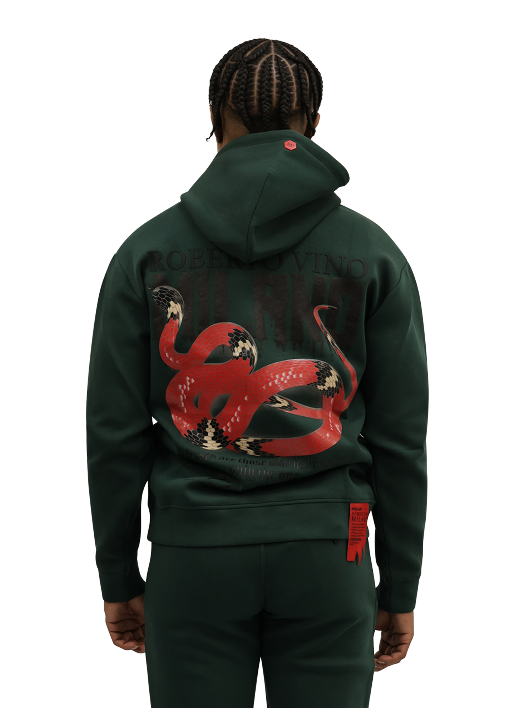 Snake Hoodie