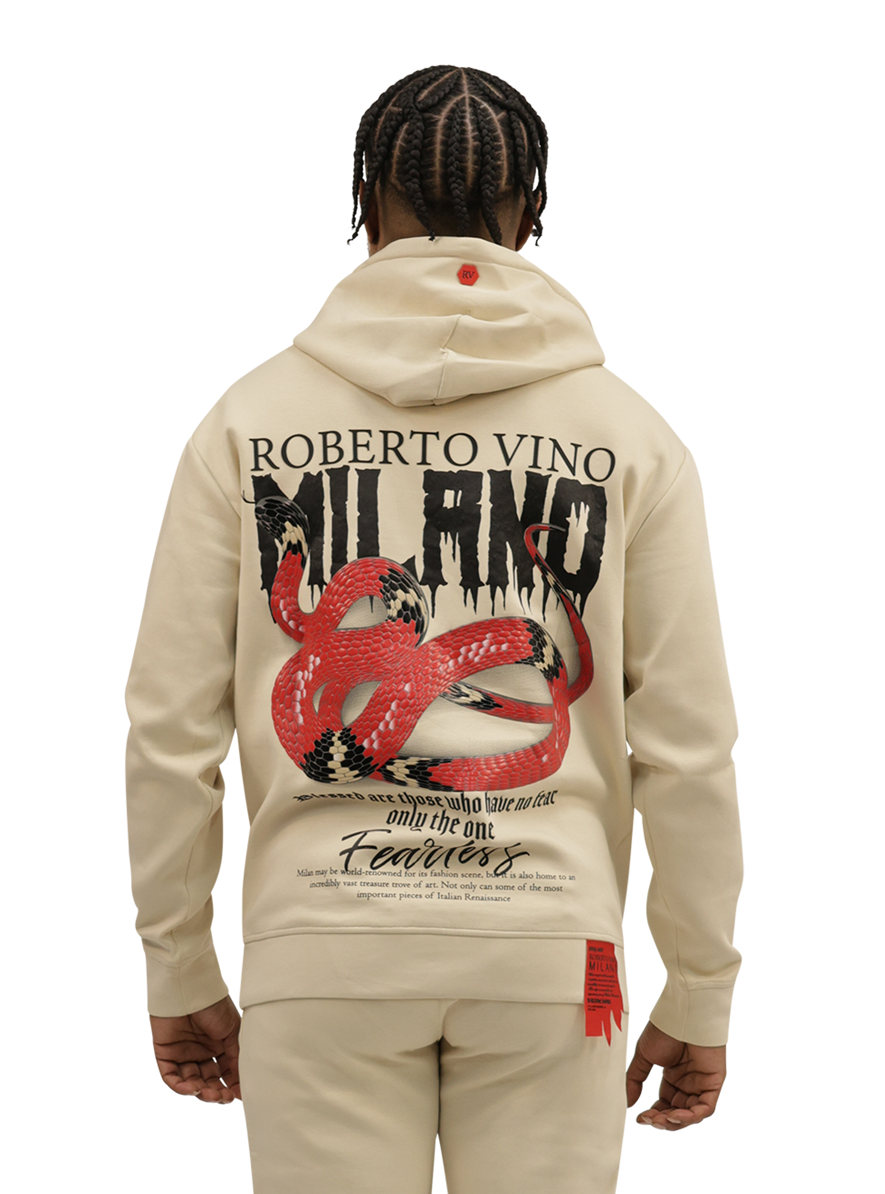 Snake Hoodie