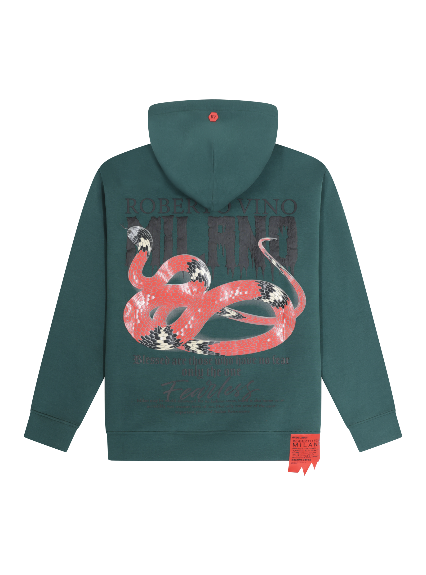 Snake Hoodie